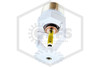 Victaulic™ V3405 White Pendent 175F | S342BES540 | Hero | QRFS™