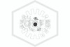Victaulic™ V2707 Chrome Pendent 135F | S271BAS420 | Deflector | QRFS™