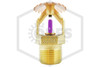 Victaulic™ V3401 Upright Sprinkler | Brass | 360F | QRFS™ | Side