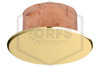 Reliable™ G5 Cover Plate | Bright Brass | 165F | QRFS™ | Hero