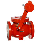 Lever and Weight Check Valves