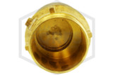 Check Valve | 4 in. Grooved x NPT | Brass | 300 PSI | QRFS | Thread Image