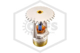 Tyco™ TY3151 White 286F SR Upright 57-570-4-286 Hero Image | QRFS™