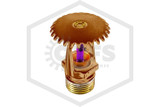Tyco™ TY3151 Brass 360F SR Upright 57-570-1-360 Hero Image | QRFS™