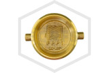 Brass Plug and Chain | FPPI | 2-1/2 in. NST | Cast Brass | Bottom