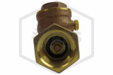Swing Check Valve | FPPI | 3/4 in. NPT x NPT | Brass | 250 PSI | Connection