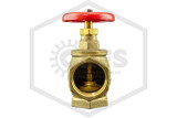 Angle Valve | FPPI | 1 in. | Brass | 300 PSI | Outlet