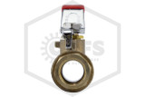 Ball Valve | FPPI™ | 1 in. | Brass | 600 PSI | Connection
