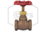 Globe Valve | FPPI | 3/4 in. | Brass | 300 WOG | Alt Side