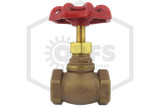 Globe Valve | FPPI | 3/4 in. | Brass | 300 WOG | Side