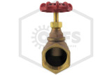 Globe Valve | FPPI | 2 in. | Brass | 300 WOG | Connection