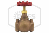 Globe Valve | FPPI | 2 in. | Brass | 300 WOG | Side
