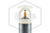 Victaulic™ V3601 Upright Dry Sprinkler | SR | Off White | 135F | S363AAS44O06010