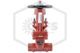 Grooved OS&Y Valve | 6 in. | Lansdale™ | 700-250-00580