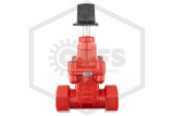 Threaded NRS Gate Valve | 2 in. | Lansdale™ | 700-275-01000 | Side