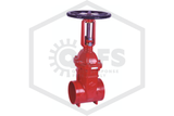 Grooved OS&Y Valve | 3 in. NPT | Ductile Iron | MECH™ | XZ81X300