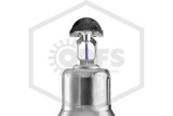 Tyco™ TY3337 Horizontal Sidewall Dry Sprinkler | Deep Escutcheon | QR | Stainless Steel | 286F