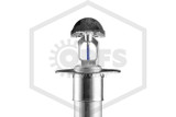 Tyco™ TY3337 Horizontal Sidewall Dry Sprinkler | Standard Escutcheon | QR | Stainless Steel | 286F