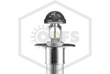Tyco™ TY3337 Horizontal Sidewall Dry Sprinkler | Standard Escutcheon | QR | Stainless Steel | 175F