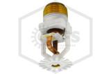 Senju™ SS2551 White 205F QR Pendent 002-5012 Hero Image | QRFS™