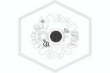 Tyco™ TY323 Pendent | Brass | 286F | Deflector | QRFS™