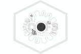 Tyco™ TY325 Pendent Chrome 286F | 77-571-9-286 | Deflector | QRFS™