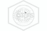 Tyco™ TY3596 Concealed Pendent | 160F | 51-112-1-160 | Deflector