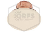 Senju™ CN Cover Plate | Beige | 140F | 2-3/8 in. OD | 004-0371
