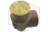 Pressure Relief Valve | 3/4 in. | Brass | 175 PSI | Cap Image | QRFS™