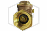 Swing Check Valve | 2 in. NPT x NPT | Brass | 200 PSI | Inside Image | QRFS