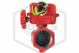 Butterfly Valve with Tamper Switch | 2 in. | Threaded (NPT) | 175 PSI | QRFS | Hero Image