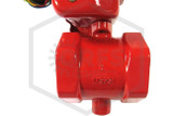 Butterfly Valve with Tamper Switch | 2 in. | Threaded (NPT) | 175 PSI | QRFS™ | Threaded Connections Image