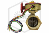 Powerball Valve with Tamper Switch | 2 in. | Threaded | 300 PSI | QRFS™ | Side Image