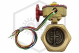Powerball Valve with Tamper Switch | 2-1/2 in. | Threaded | 300 PSI | QRFS™ | Side Image