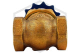 OS&Y Gate Valve | 1 in. NPT | 175 PSI | QRFS™ | Connections Image