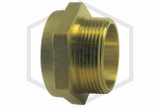 Brass Hex Adapter | 1-1/2 in. | F NST x M NPT