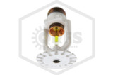 Tyco® TY2236 Pendent Sprinkler | Residential | 4.9K | White | 175F | 51-212-4-175