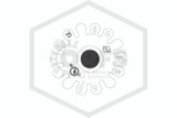 Tyco™ TY323 Pendent | Chrome | 175F | Deflector | QRFS™