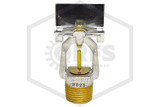 Tyco™ TY2334 Sidewall Sprinkler | Chrome | 175F | Side