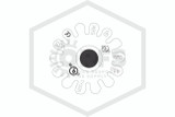 Tyco™ TY325 Pendent Chrome 175F | 77-571-9-175 | Deflector | QRFS™