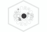 Tyco™ TY323 Pendent | Chrome | 135F | 77-371-9-135 | Deflector