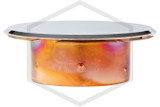 Victaulic™ V38 Cover Plate | Chrome | 165F | QRFS™ | Side