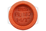 GemLock™ Grooved End Cap 1-1/2 in. | Style 150 | Markings 1