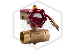 Butterfly Valve with Tamper Switch | FPPI | 2 in. | Grooved | 300 PSI | 06-526-00 | Hero
