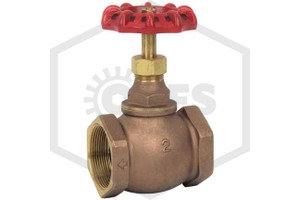 Globe Valve | FPPI | 2 in. | Brass | 300 WOG | Hero