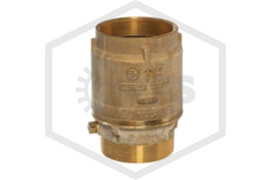 Swing Check Valve | 4 in. MNPT x FNPT | Brass | 700-225-00360