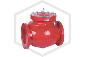 Flanged Swing Check Valve | 12 in. NPT | Ductile Iron | MECH™ | H44X21200