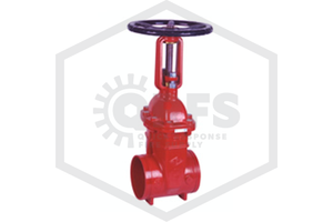 Grooved OS&Y Valve | 6 in. NPT | Ductile Iron | MECH™ | XZ81X600