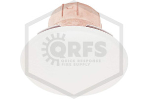 Senju™ CN Cover Plate | Ivory | 140F | 2-3/8 in. OD | 004-0351