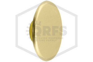 Viking™ Flat Sidewall Cover Plate | Brushed Brass 135F | QRFS™ | Hero